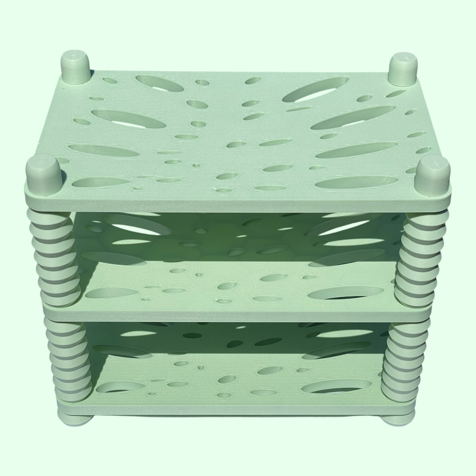 SHELF. MONSTERA!