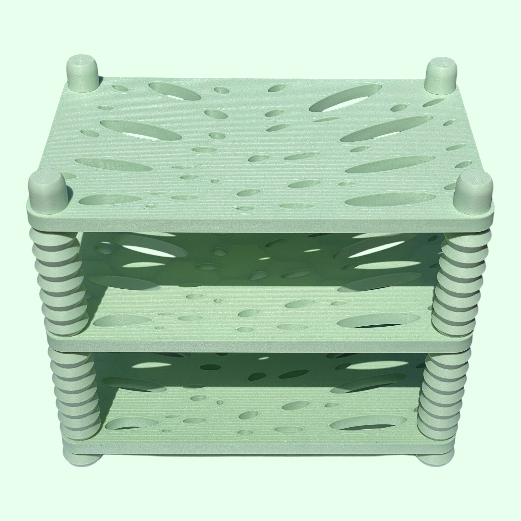 SHELF. MONSTERA!